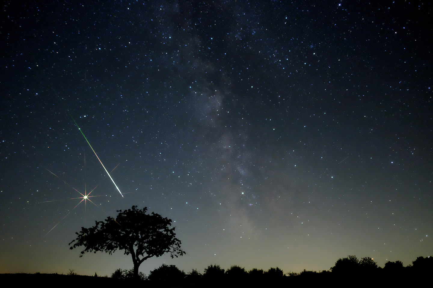 Nachtaufnahme mit dunkler Silhouette einer Landschaft mit einem großen Baum in der linken unteren Bildhälfte vor einem dunkel blauen Nachthimmel mit vielen funkelnden Sternen, der zum Boden hin gelb leuchtet