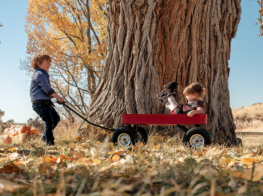 Learn photography with Fujifilm, 8 Tips for Photographing Children