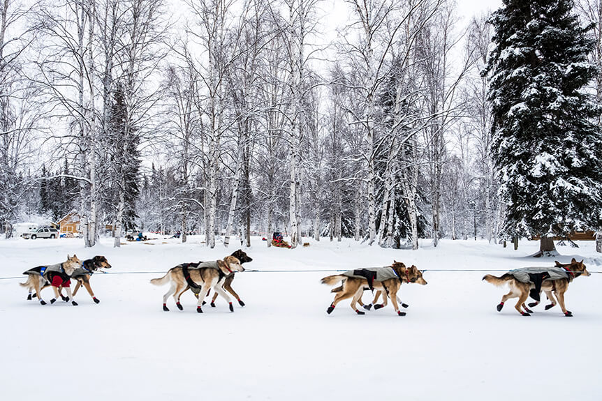 Learn photography with Fujifilm, Introduction to Focusing Modes