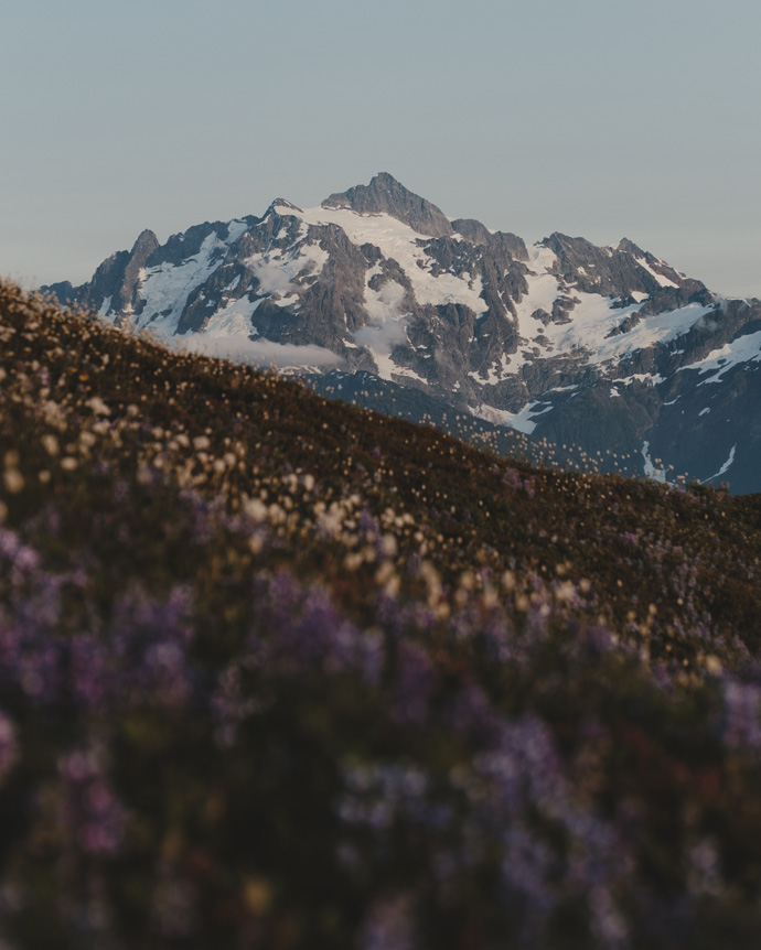 Travel photographer Mio Monasch uses FUJINON XF50mmF1.0 R WR to make landscape images. Wilflowers on a mountainside in the foreground with a snowy peak in the background.