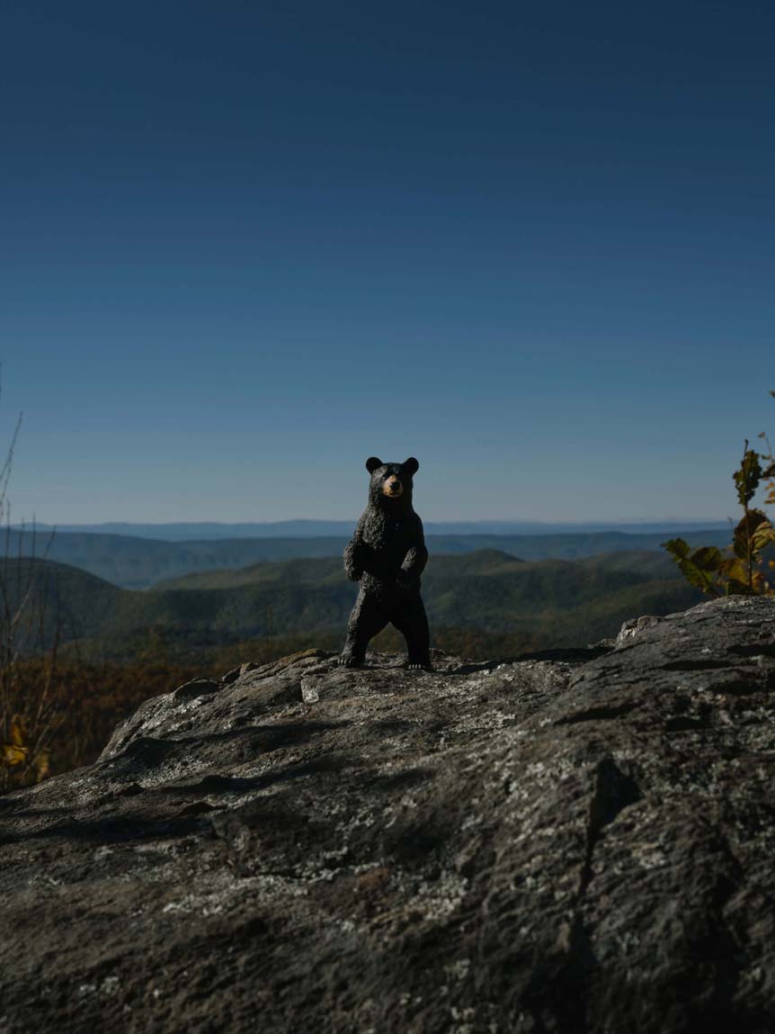 Figurine of bear standing on cliff edge