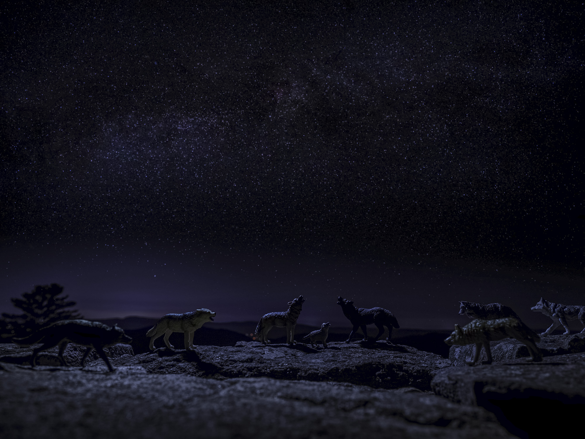 Figurines of wolves against night sky