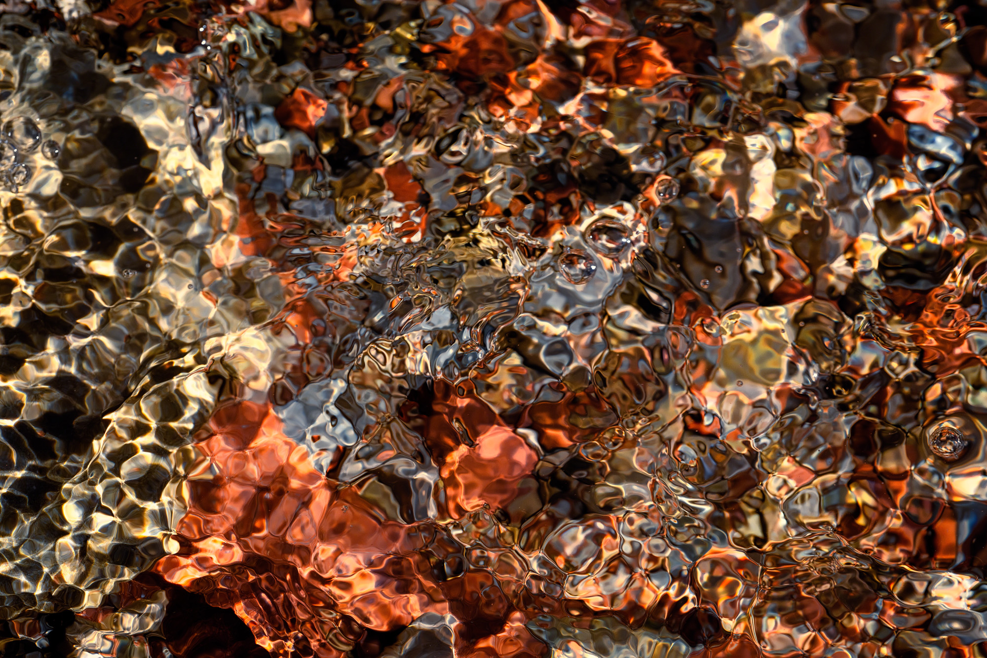 A kaleidoscopic assortment of color forms the basis of this macro shot of Zion's river streams