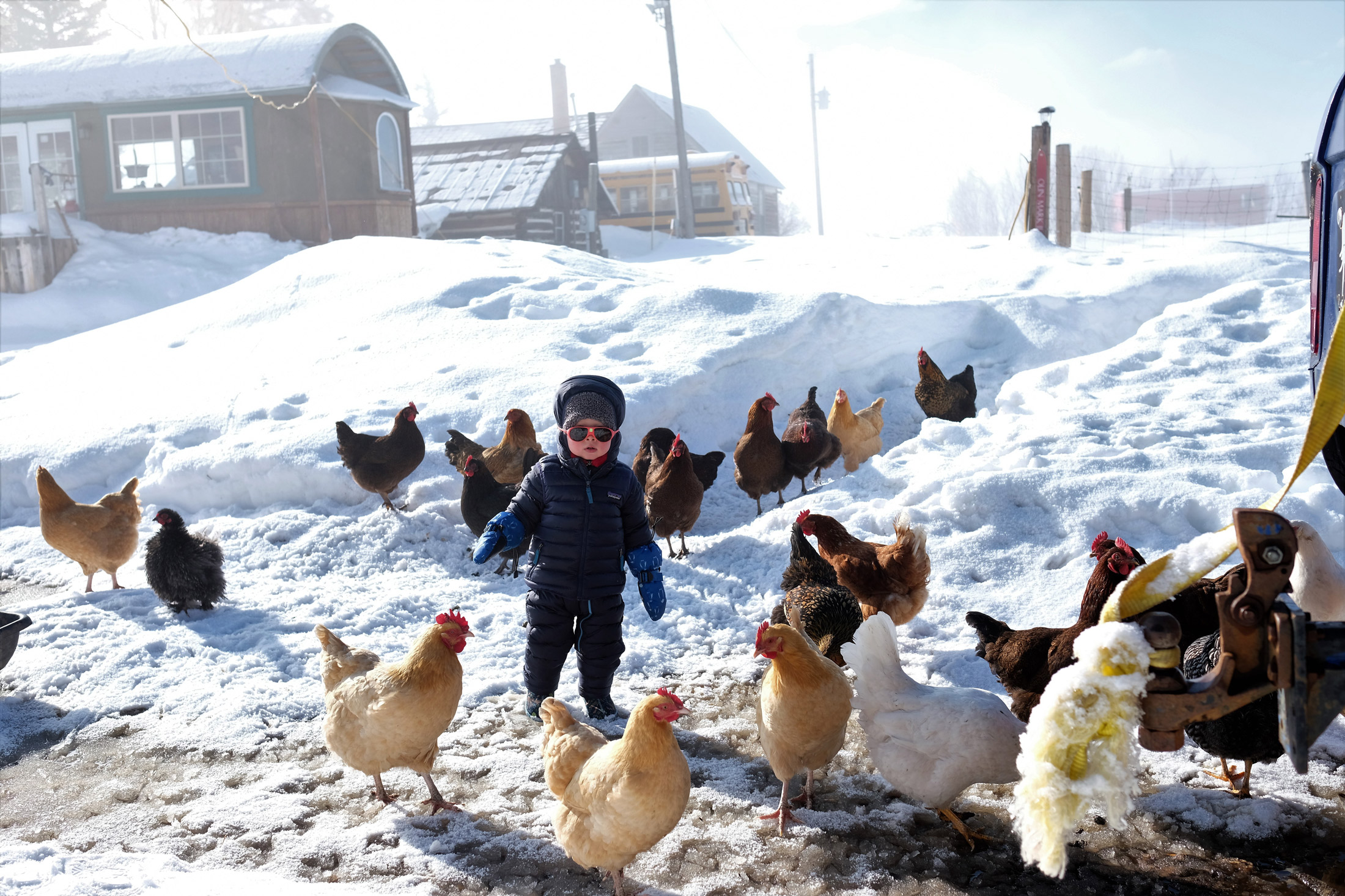 Young boy surrounded by chickens in snowy landscape