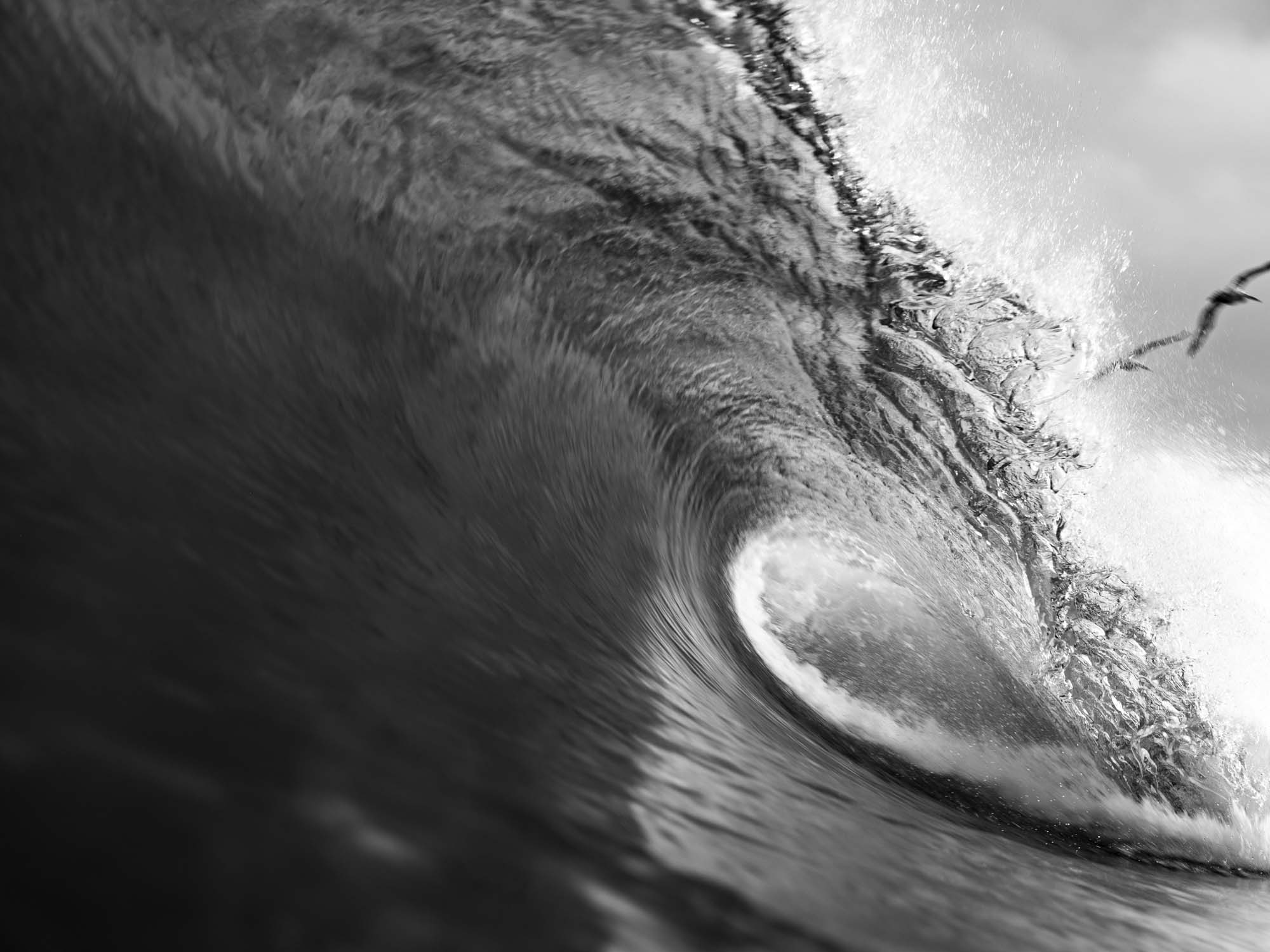 Black and white wave breaking