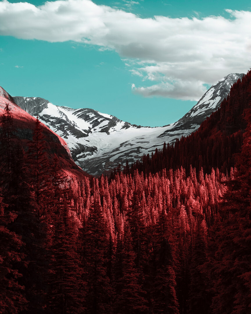 Vibrant red forest with snowcapped mountains beyond, beneath teal sky