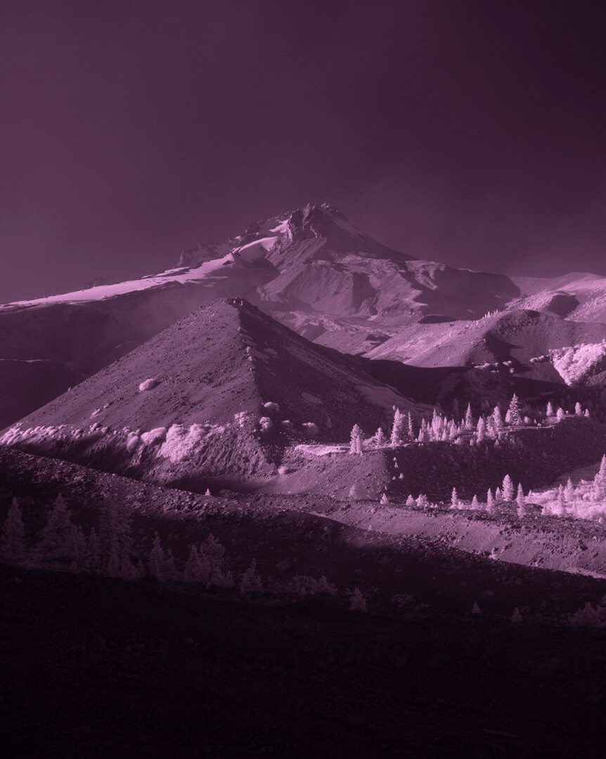 Wide mountainside littered with trees, cast in purple
