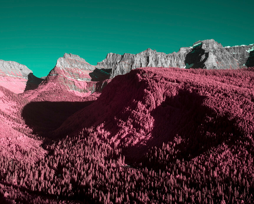 Dense pink forest leading to mountain, under aqua sky