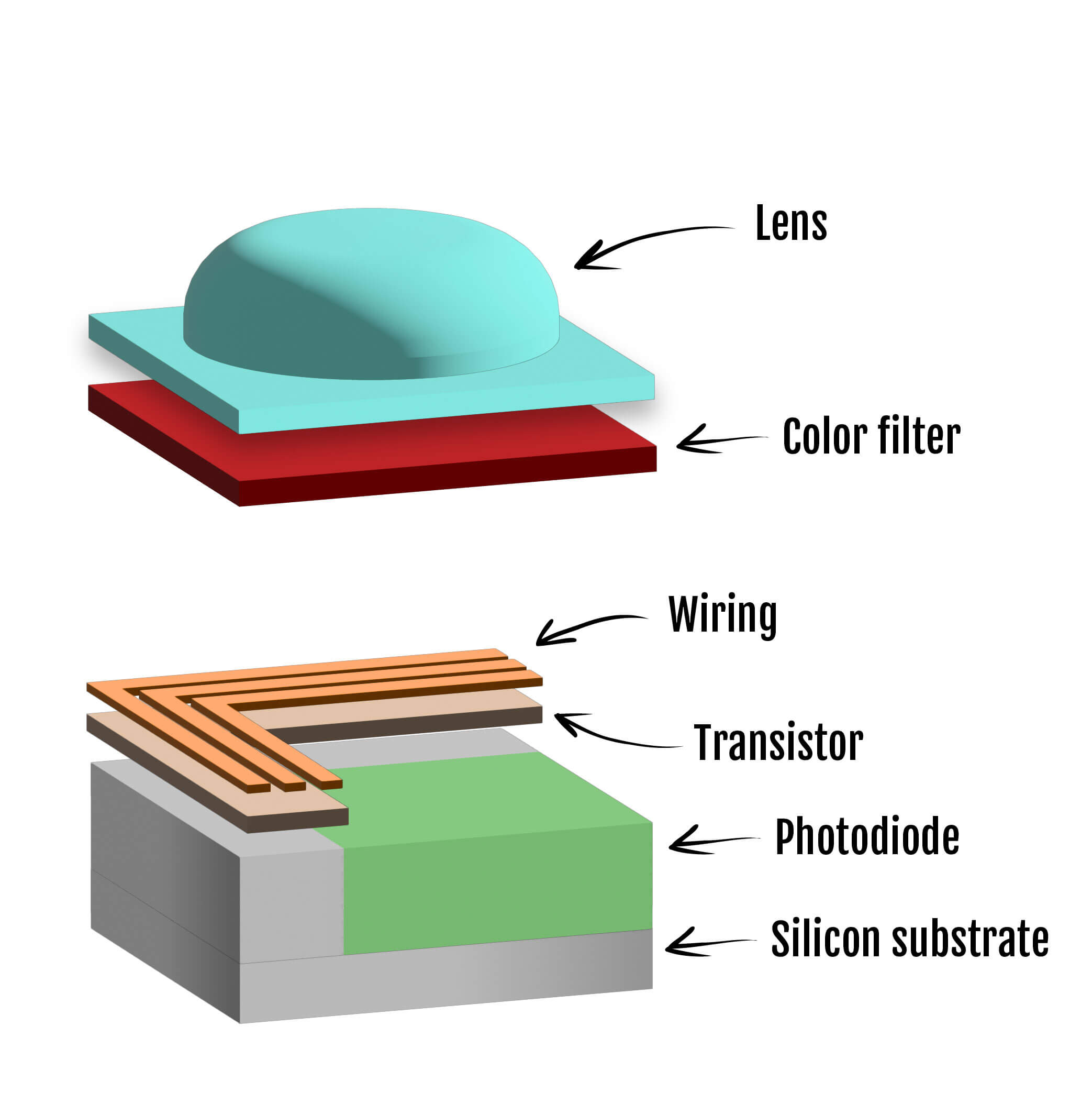 Camera Sensors: What Are They and How Do They Work? | FUJIFILM Exposure ...