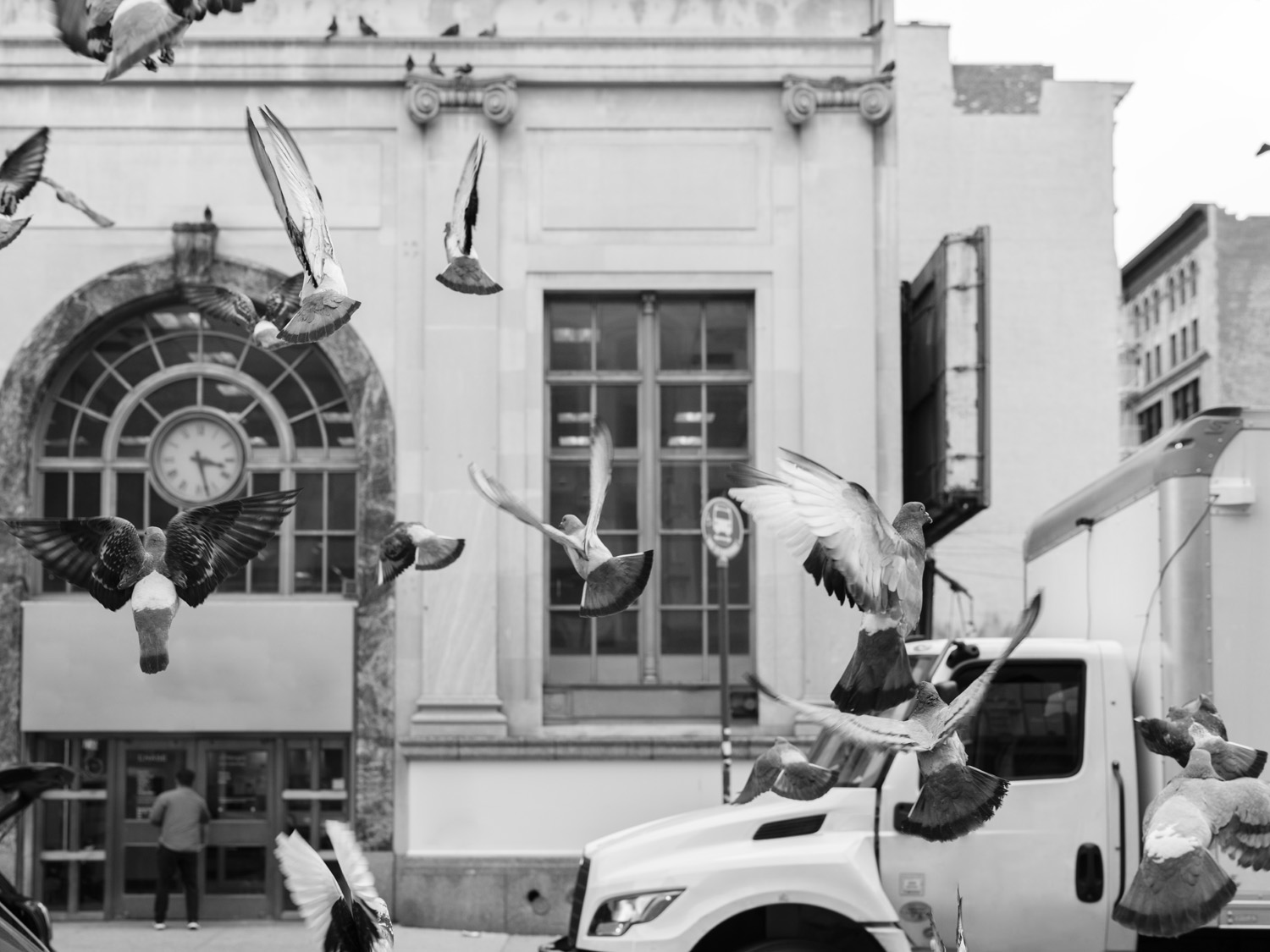 Black and white image of a van driving and scaring away pigeons