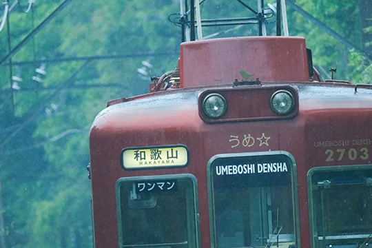 超望遠の世界で「グっ!」と止まる