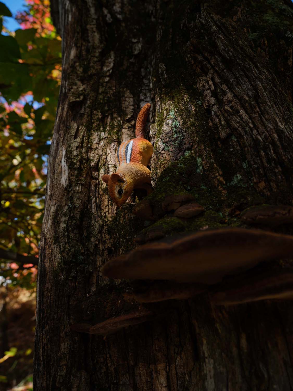 Figurine of chipmunk on tree